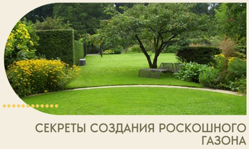 Секреты создания роскошного газона в Кимрах